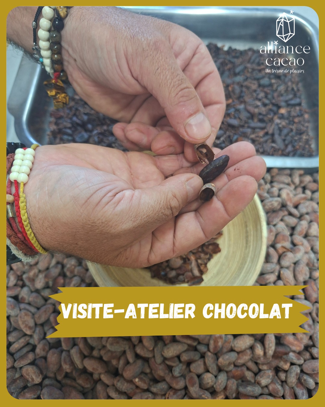 Alliance Cacao – Créations de chocolats bio (ateliers, visites, expositions...) - photo 3