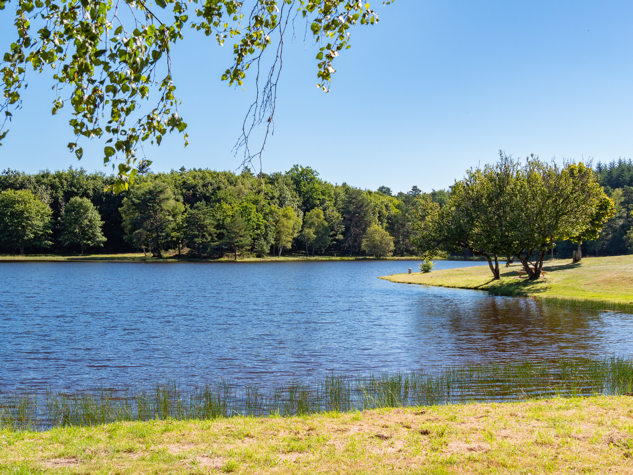 Étang de la Chèze, Eyrein - photo 2