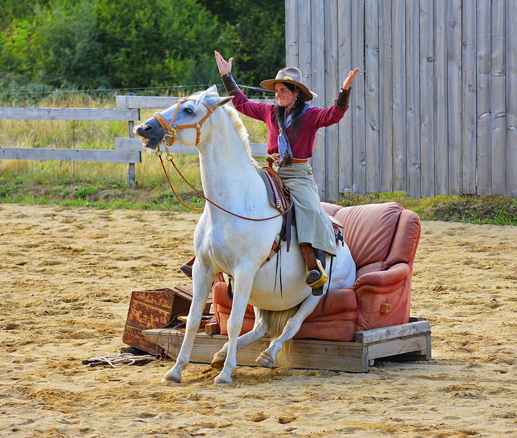 Far-West Story - Spectacle Equestre — visuel événement