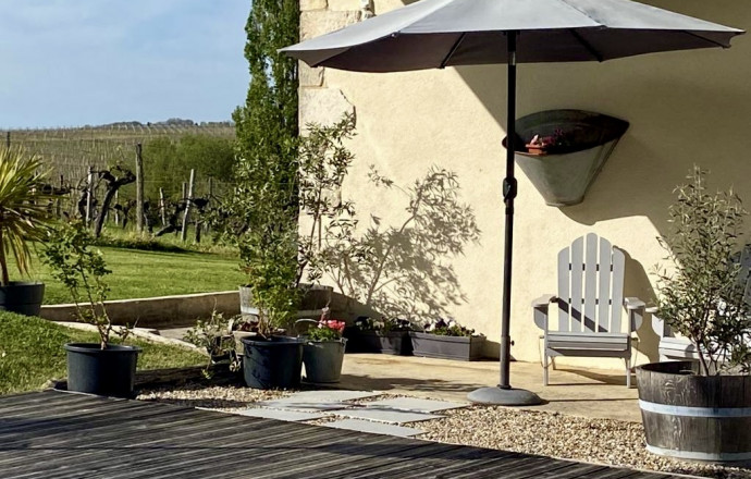 Les vignes Gîte Sud, Saint-Jean-de-Duras - photo 19