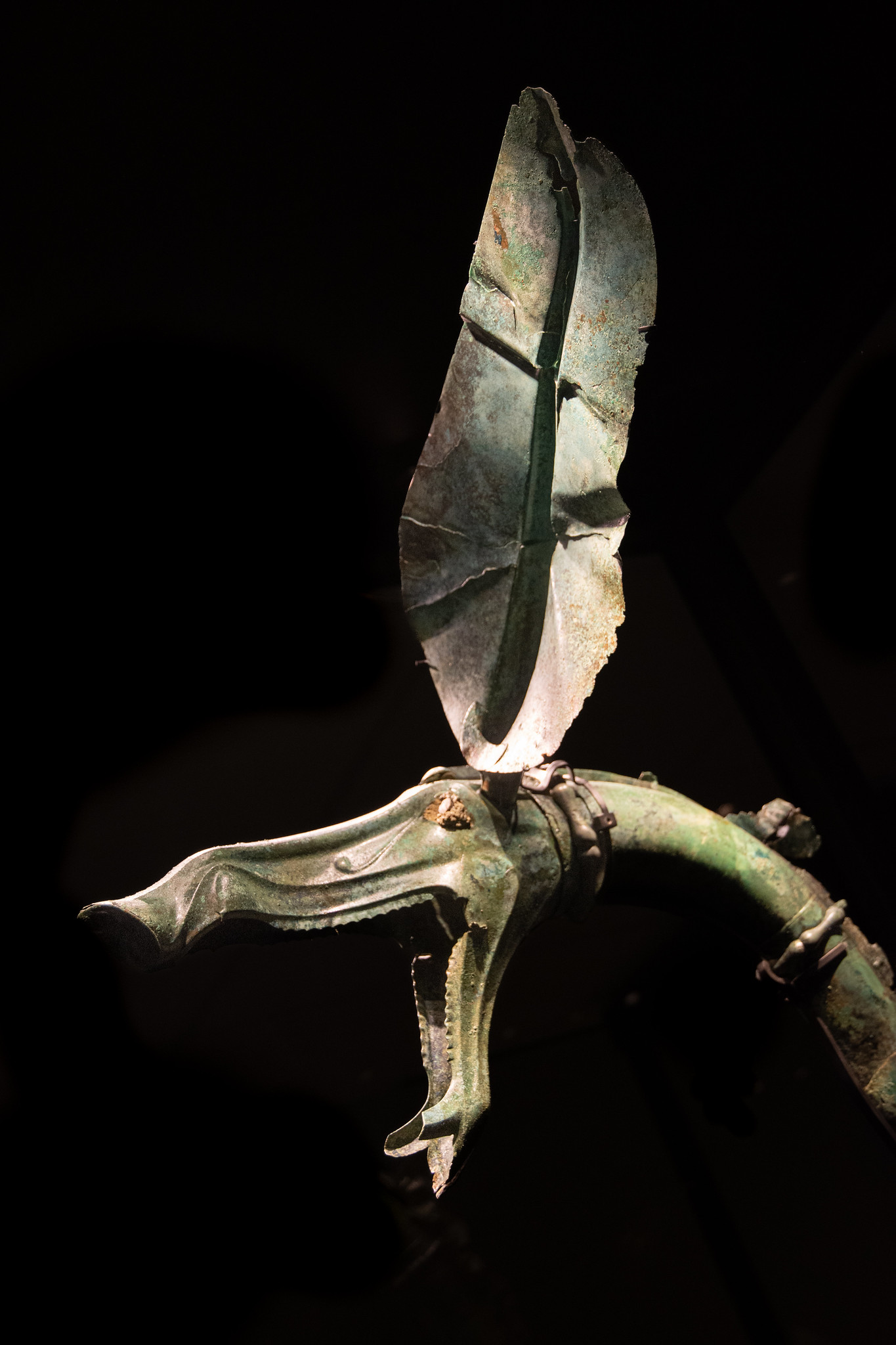 Exposition à la Maison du patrimoine de Naves