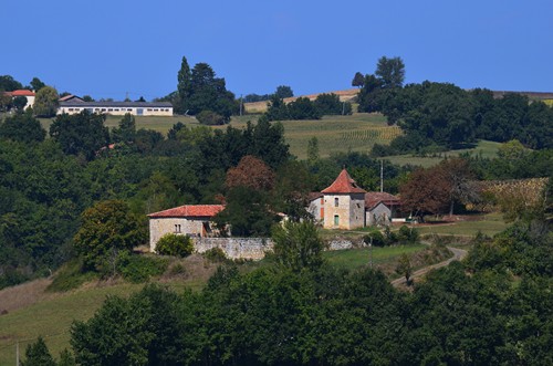 Saint-Caprais-de-Lerm, un circuit nature, Saint-Caprais-de-Lerm - photo 4