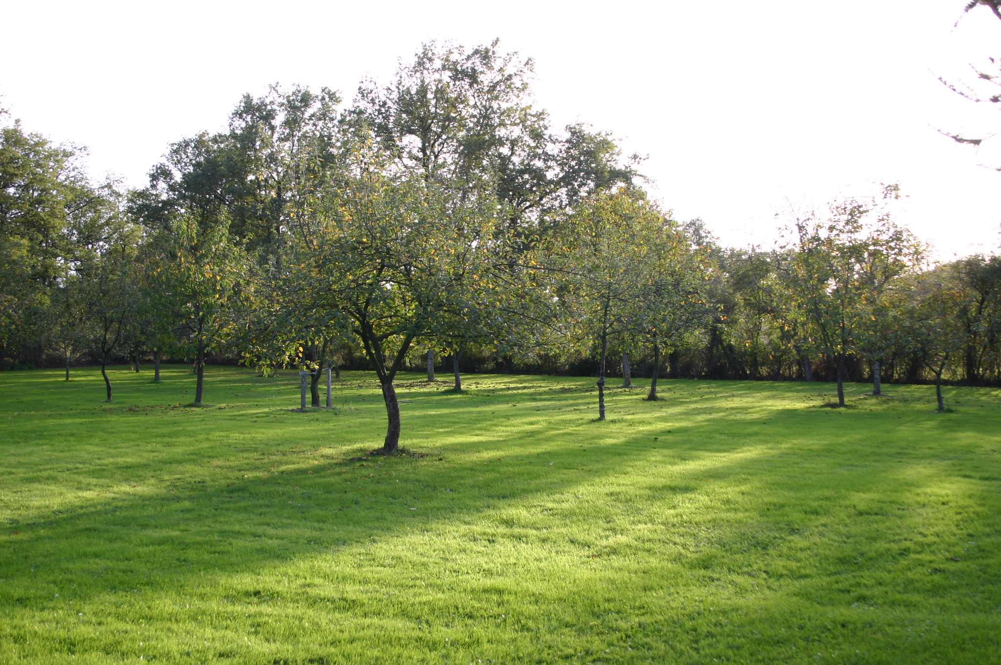 Gites de la Gartempe - La Barlotière, Lathus-Saint-Rémy - photo 8