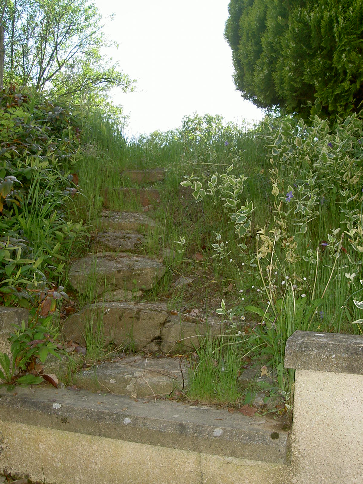 Gites de la Gartempe - La Barlotière, Lathus-Saint-Rémy - photo 9