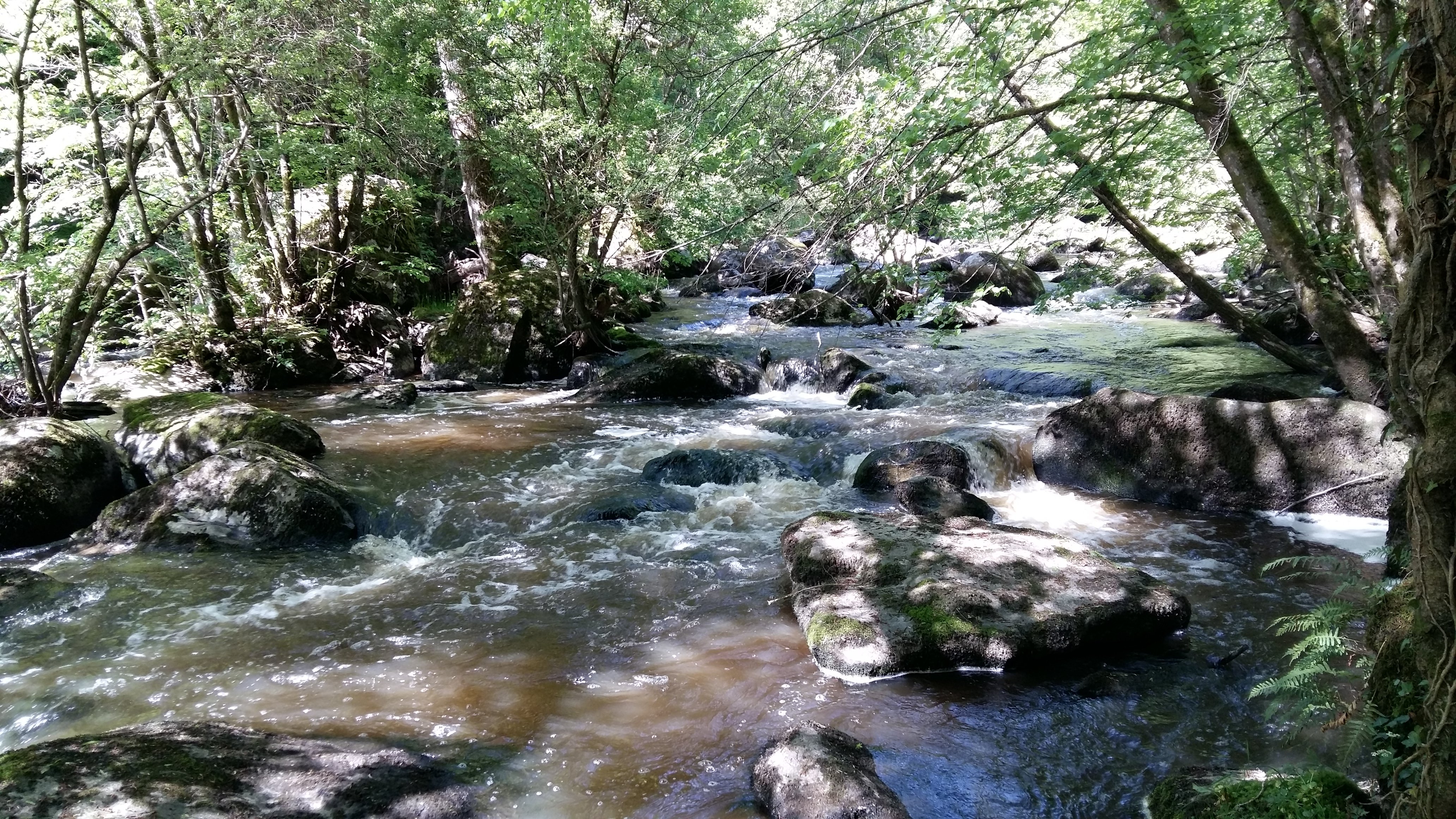 Gîtes de la Gartempe - Le Saint Rémy, Lathus-Saint-Rémy - photo 10