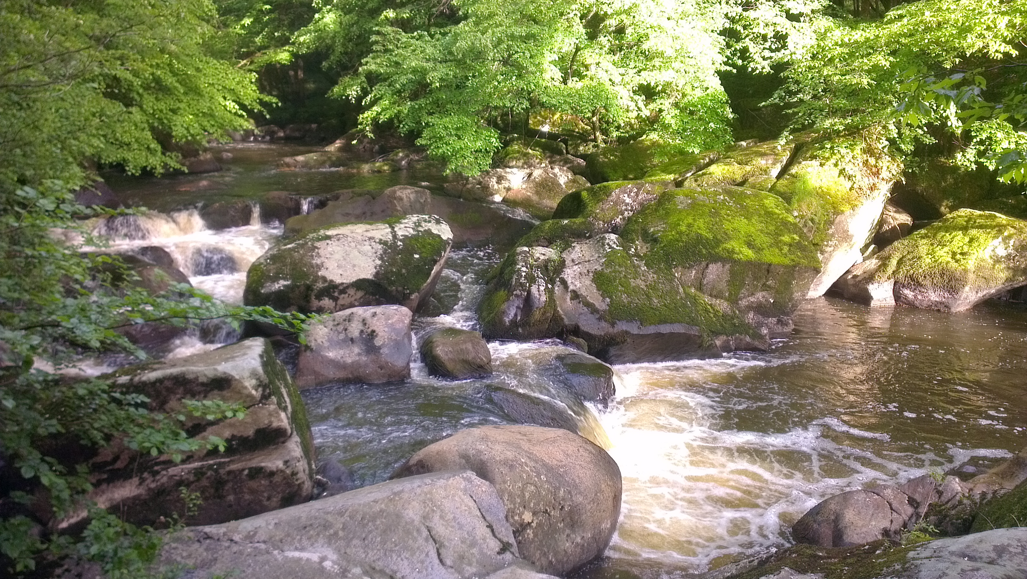 Gîtes de la Gartempe - Le Saint Rémy - photo 2