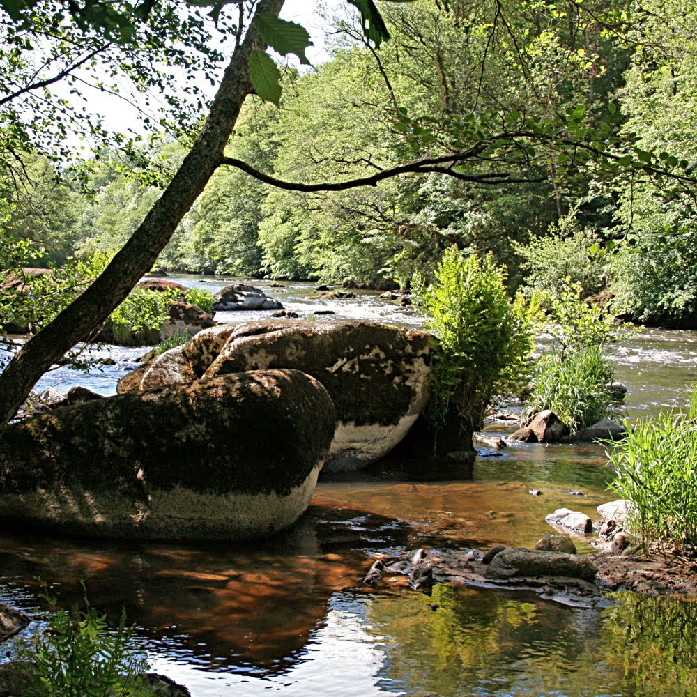 Gîtes de la Gartempe - Le Saint Rémy