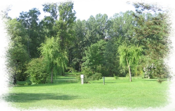 Aire naturelle de Persac - photo 3