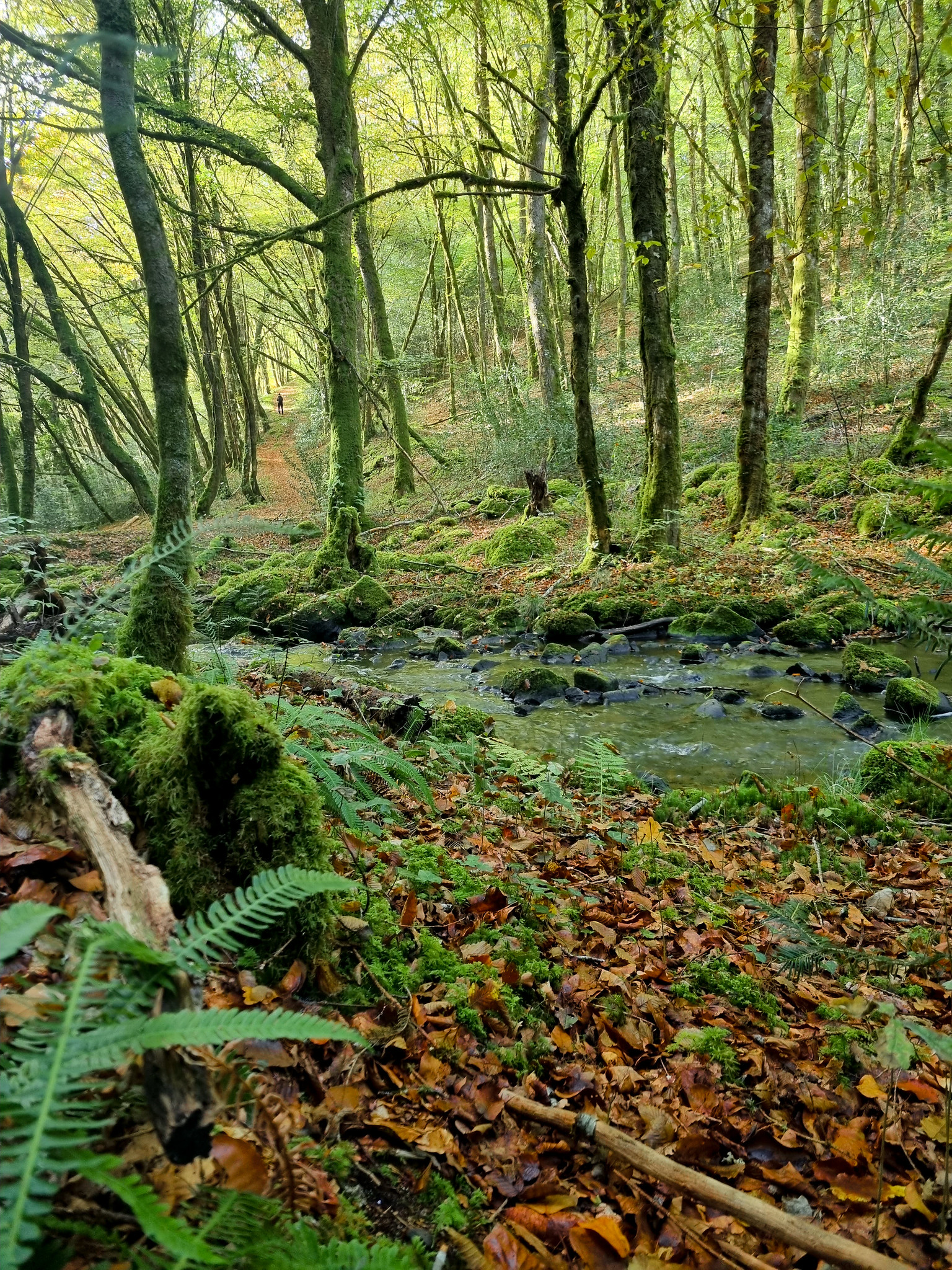 La fontaine de Saint Eutrope — photo 2