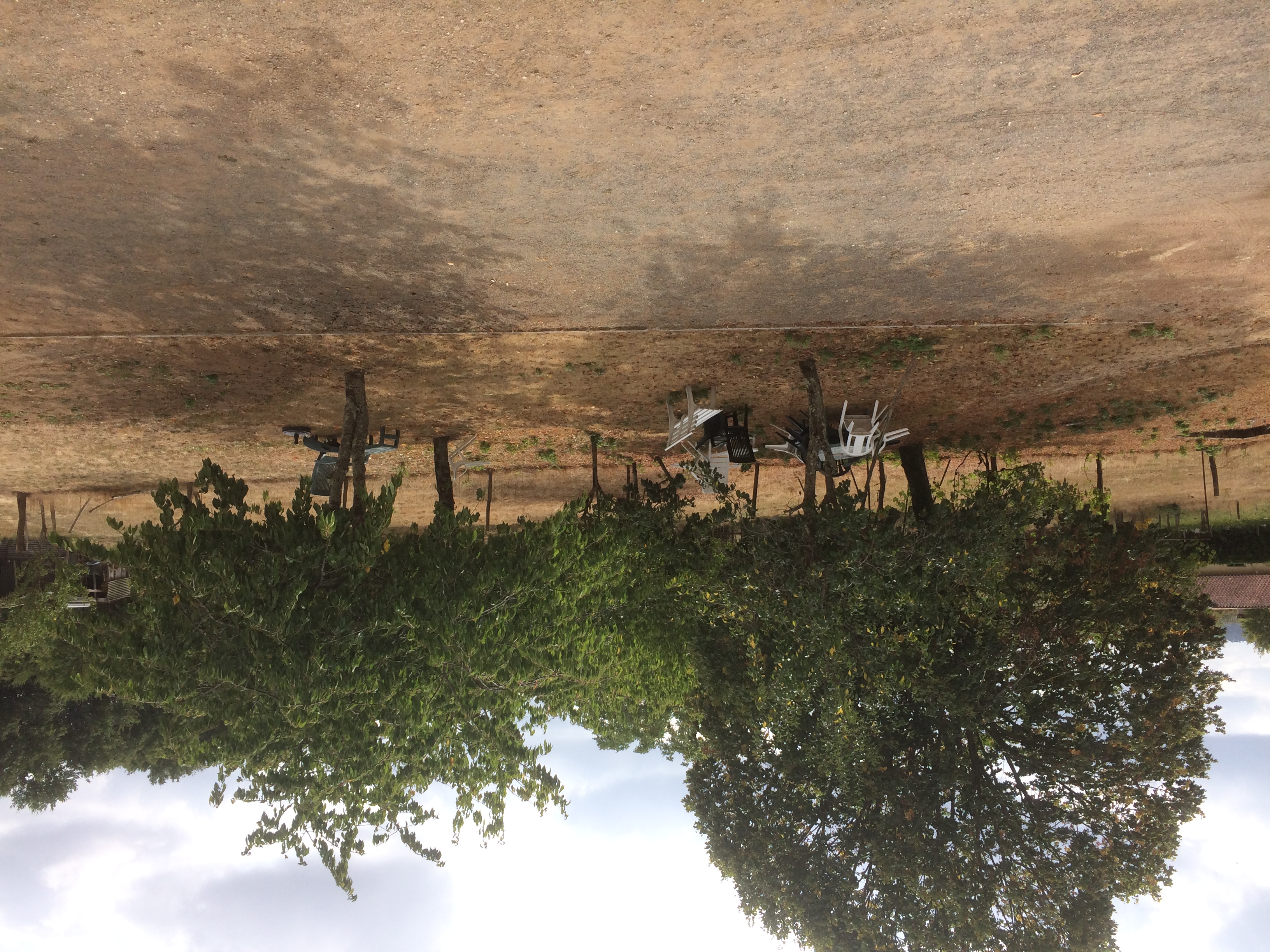 Gîte des Iris, Availles-Limouzine - photo 7