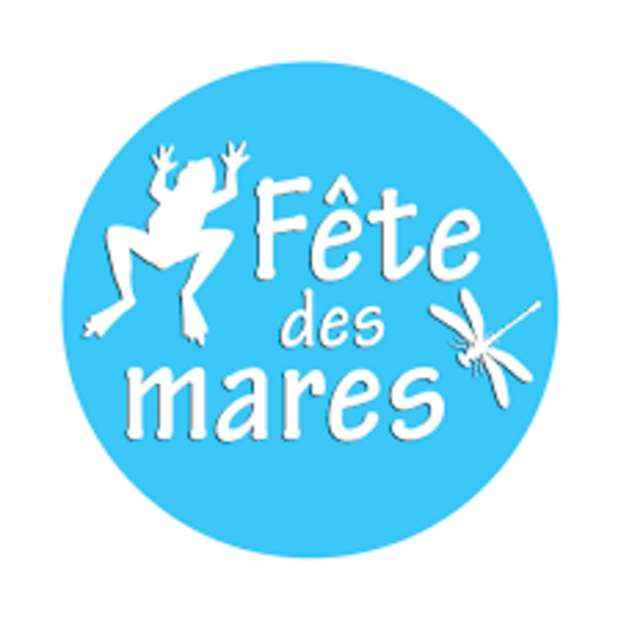 Fête des mares : les libellules du Pinail