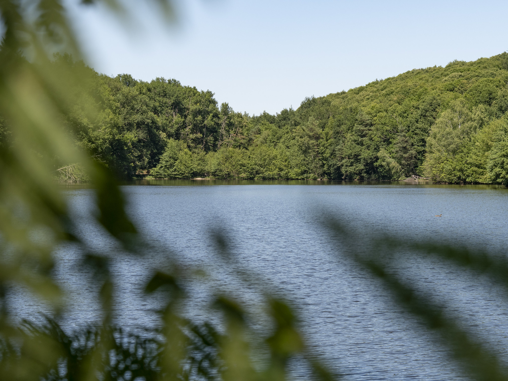 Circuit n°2 - Chemins des 3 Corrèzes, Saint-Mexant - photo 5