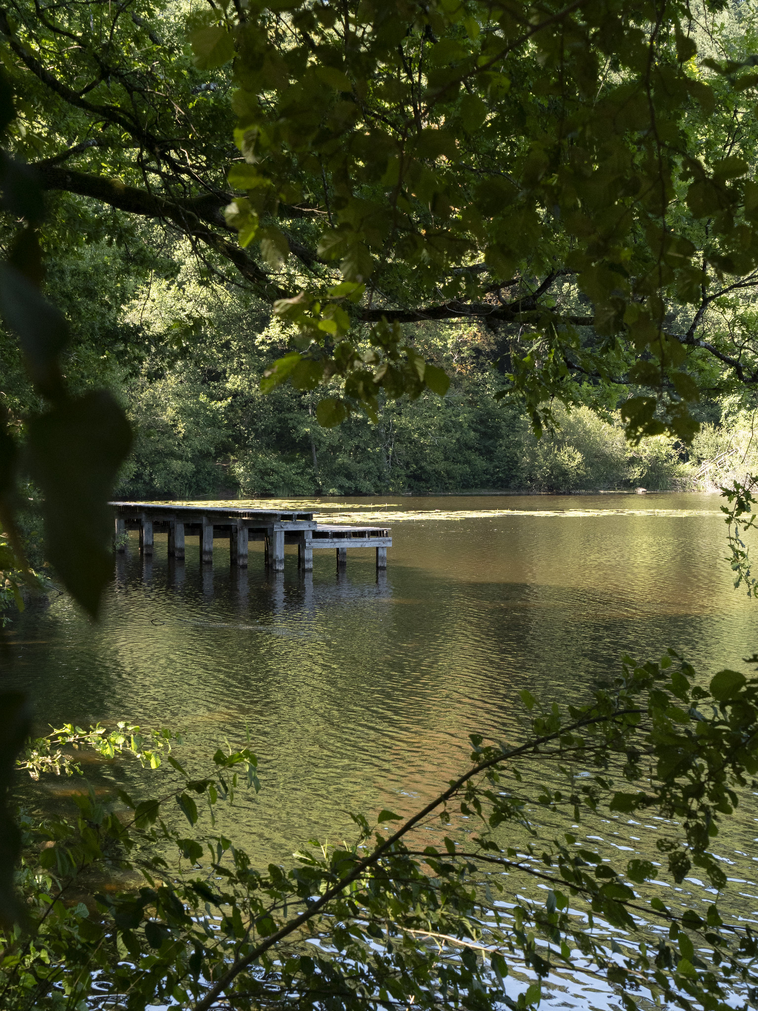 Circuit n°2 - Chemins des 3 Corrèzes, Saint-Mexant - photo 2