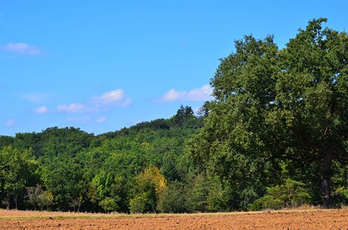 Saint-Caprais-de-Lerm, un circuit nature, Saint-Caprais-de-Lerm