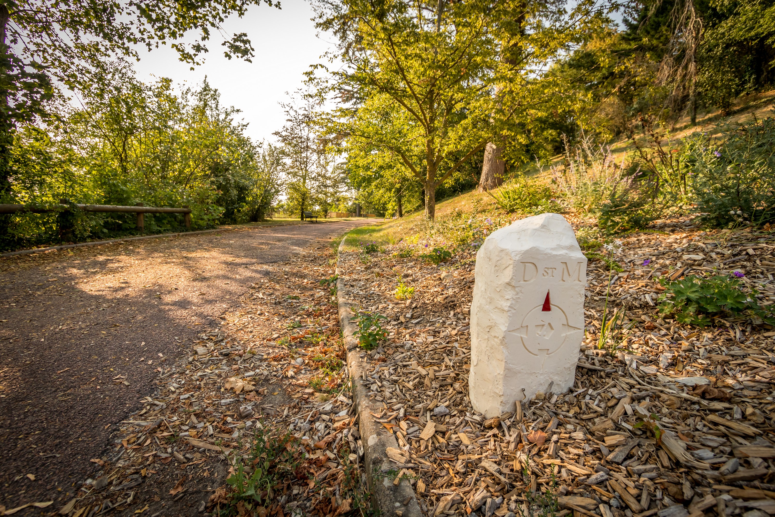 Le Chemin de Ligugé : Saint-Martin