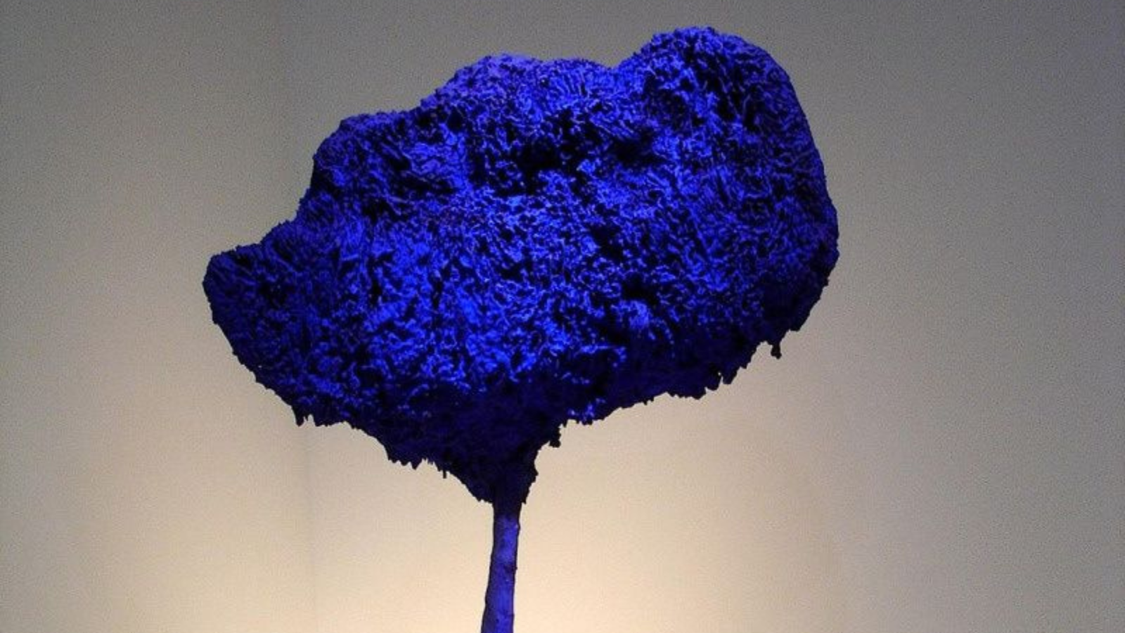 Visite commentée : de l’art moderne à l’art contemporain — visuel événement
