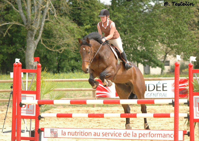 Club hippique Argentonnais, Genneton - photo 6