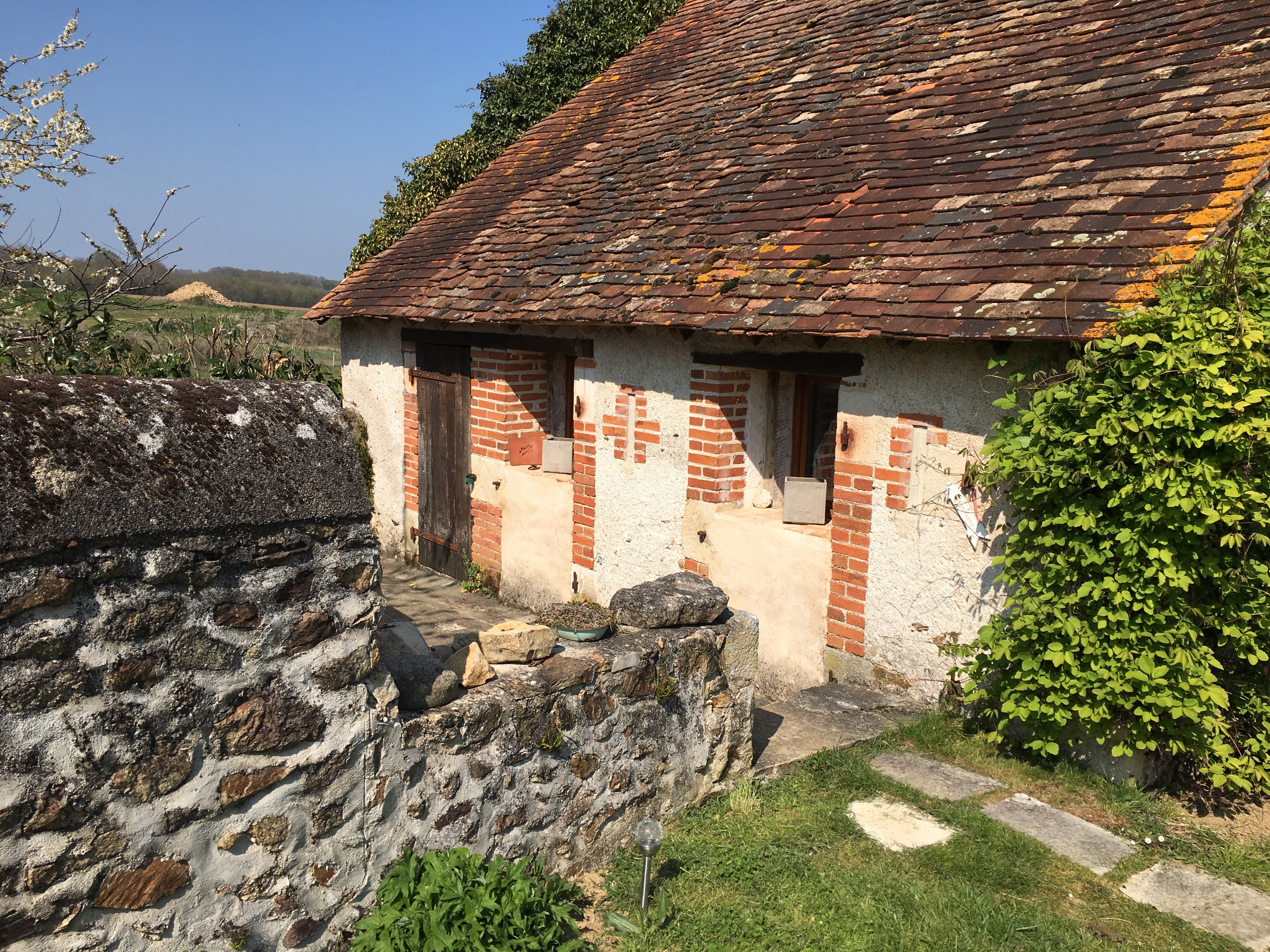 Château Mareuil, Brigueil-le-Chantre - photo 24