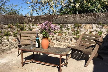 Château Mareuil, Brigueil-le-Chantre - photo 21