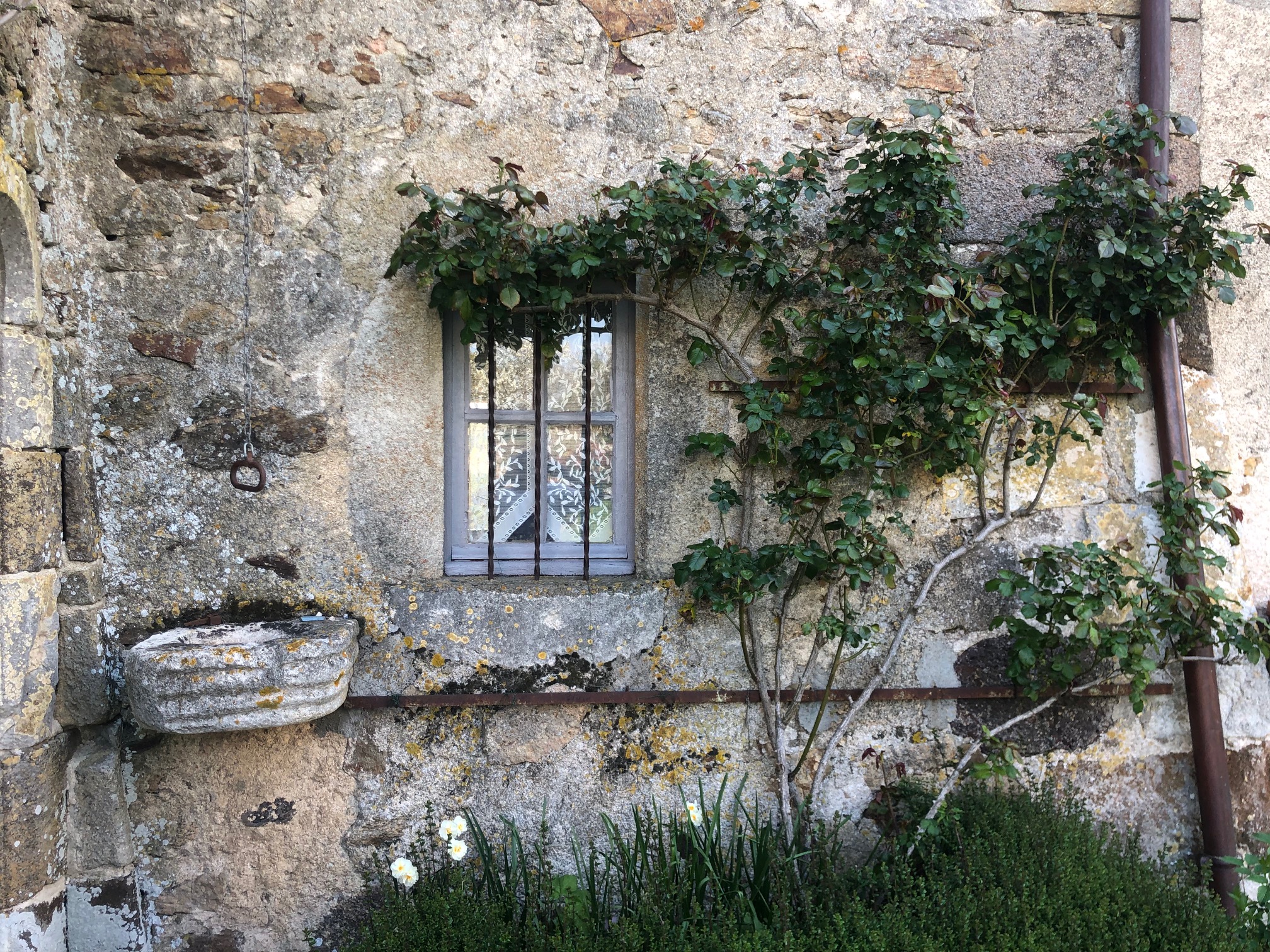 Château Mareuil, Brigueil-le-Chantre - photo 6