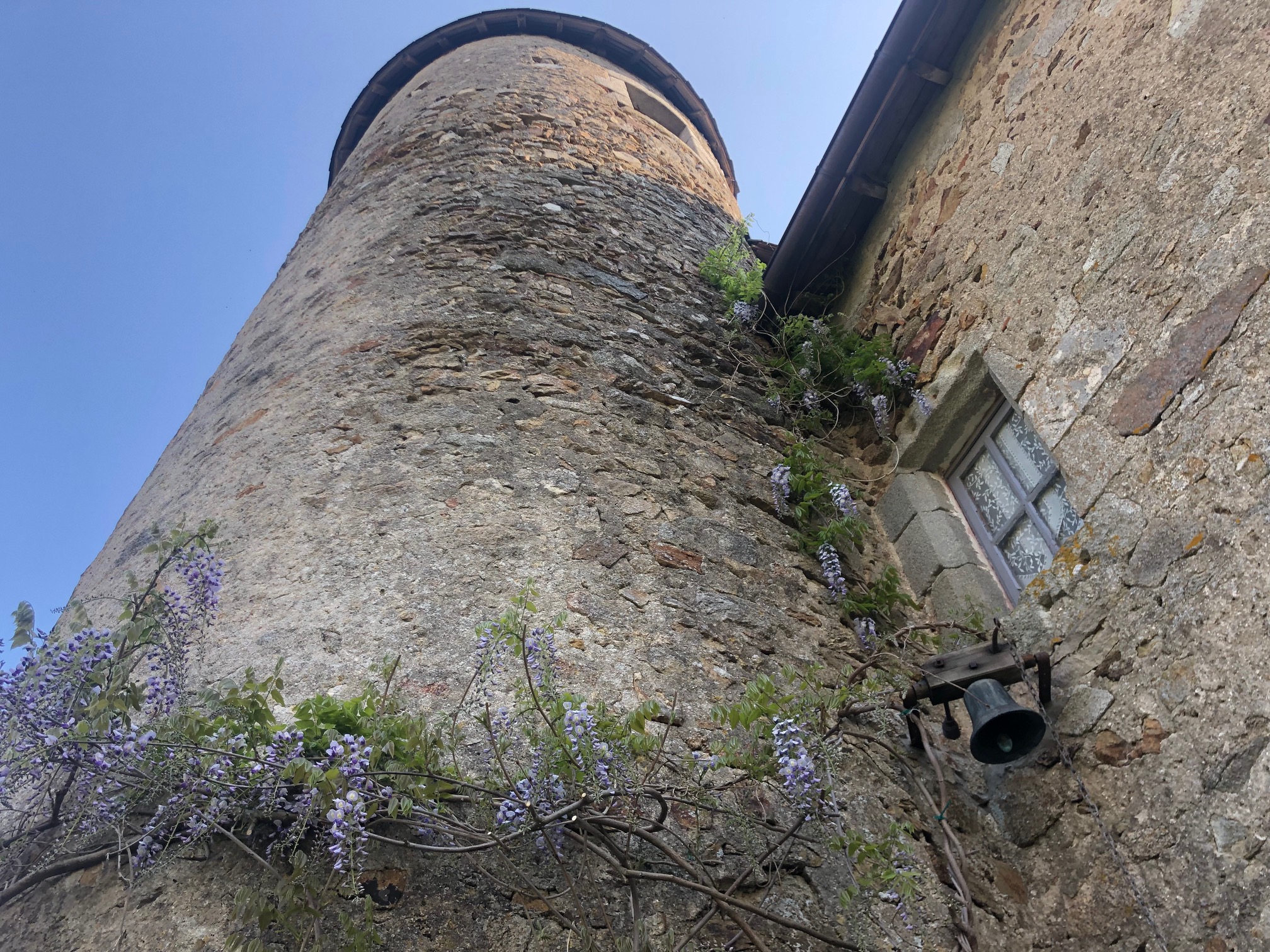 Château Mareuil, Brigueil-le-Chantre - photo 17