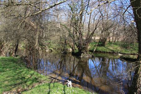 Château Mareuil, Brigueil-le-Chantre - photo 20