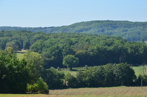 Saint-Antoine-de-Ficalba, un cheminement vers Doumillac et Cambes, Saint-Antoine-de-Ficalba - photo 13