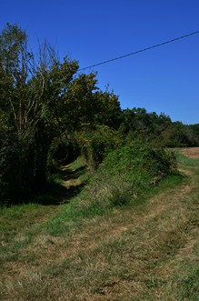 Saint-Antoine-de-Ficalba, un cheminement vers Doumillac et Cambes, Saint-Antoine-de-Ficalba - photo 5
