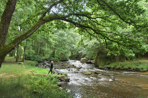 Circuit Pédestre n° FC5 De Fursac à Paulhac