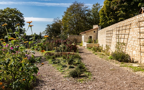 Histoire Côté Jardins, une Découverte Culturelle et Botanique