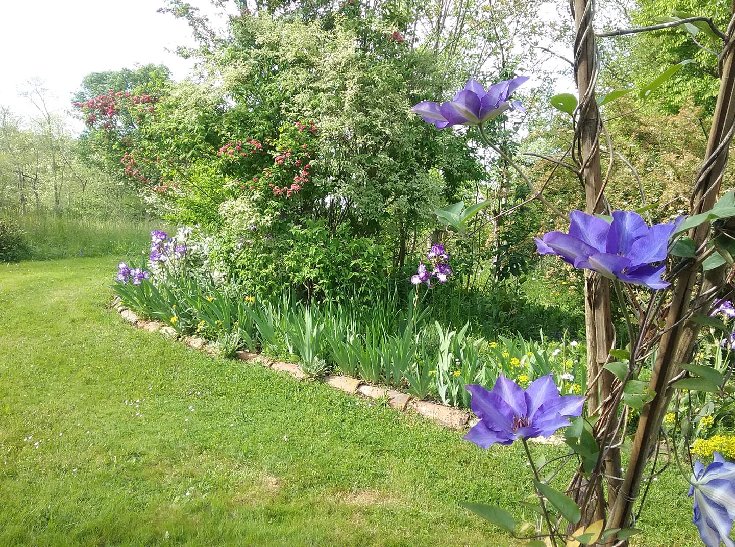 Les jardins de Nigelle