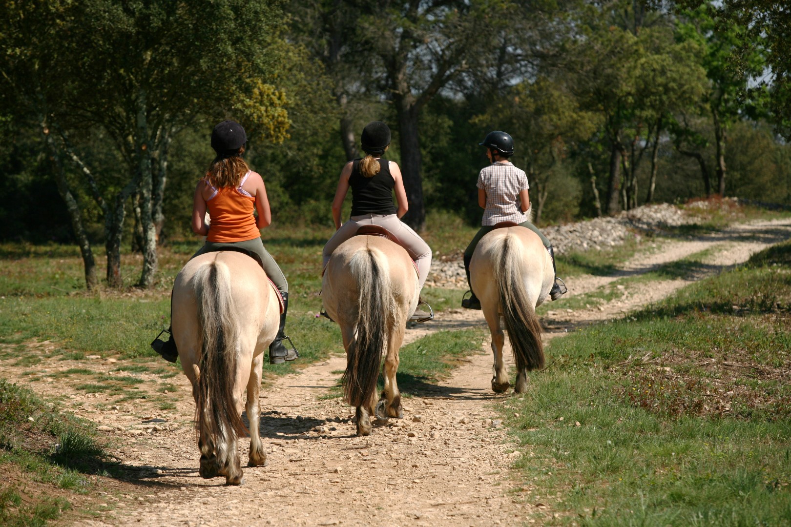 Centre Équestre Equi-Loisir