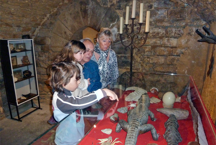 Manoir de Gisson — photo 2