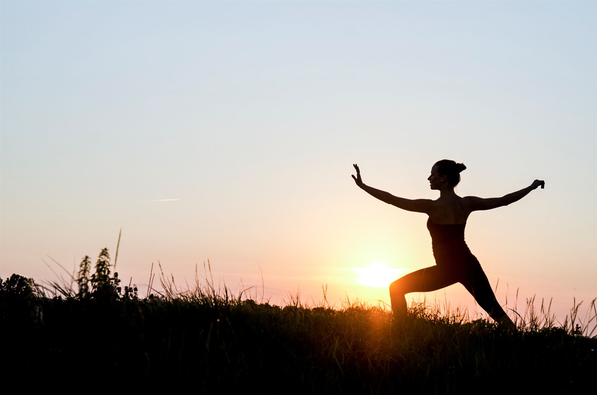 Qi Gong Evolution — photo 2