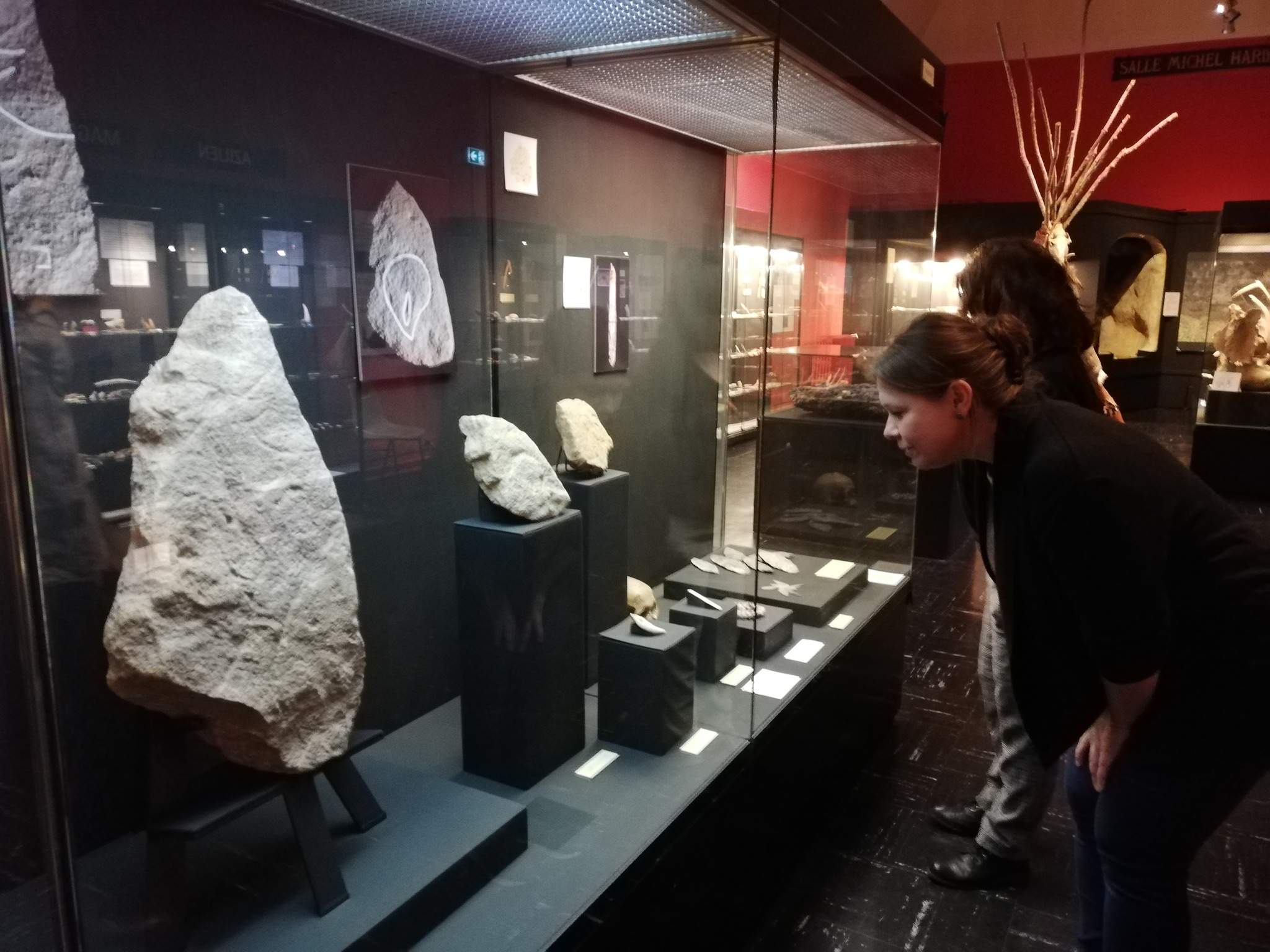 Visite commentée : La collection Préhistoire du musée — visuel événement
