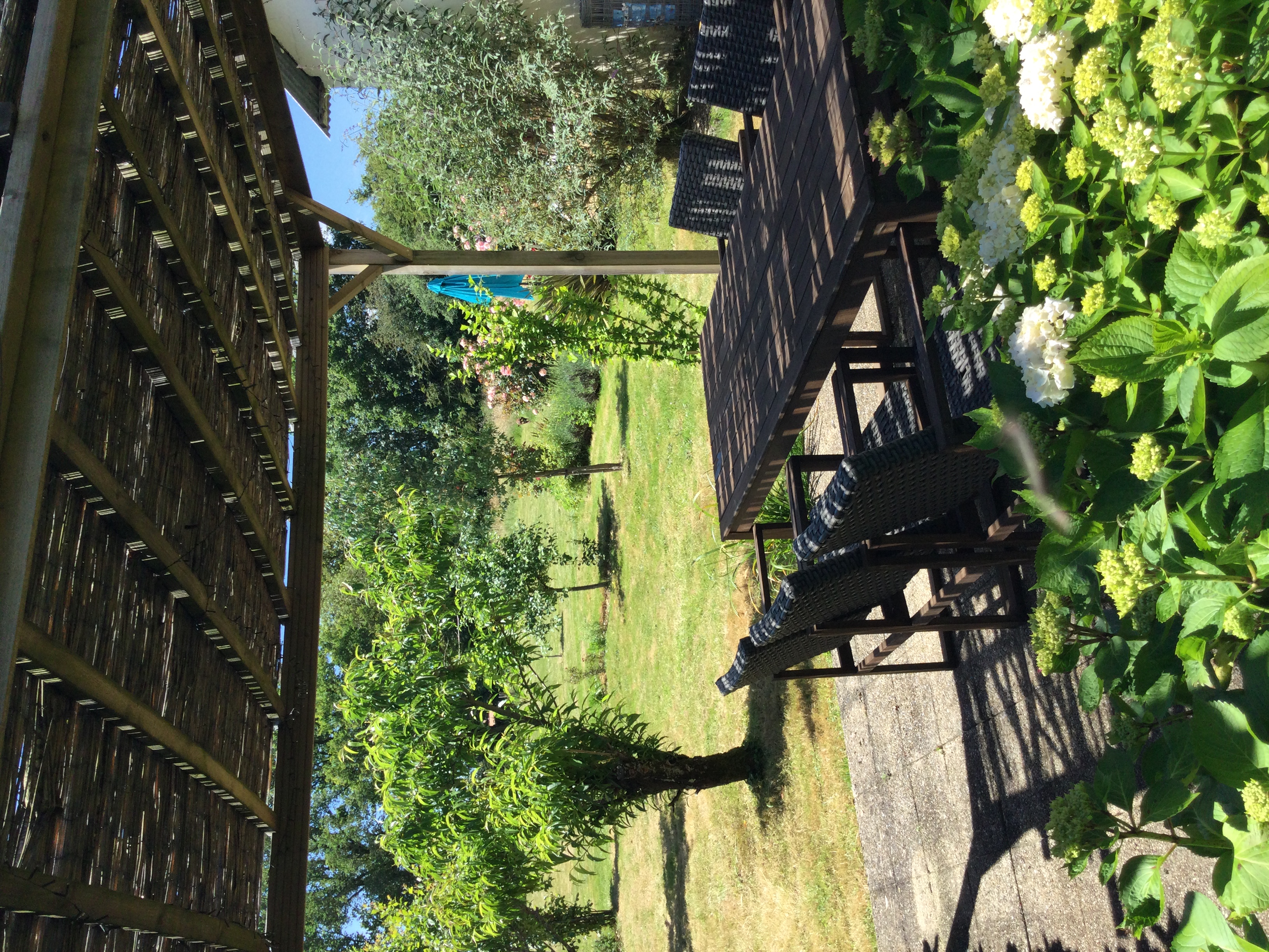 The Bird House - photo 5