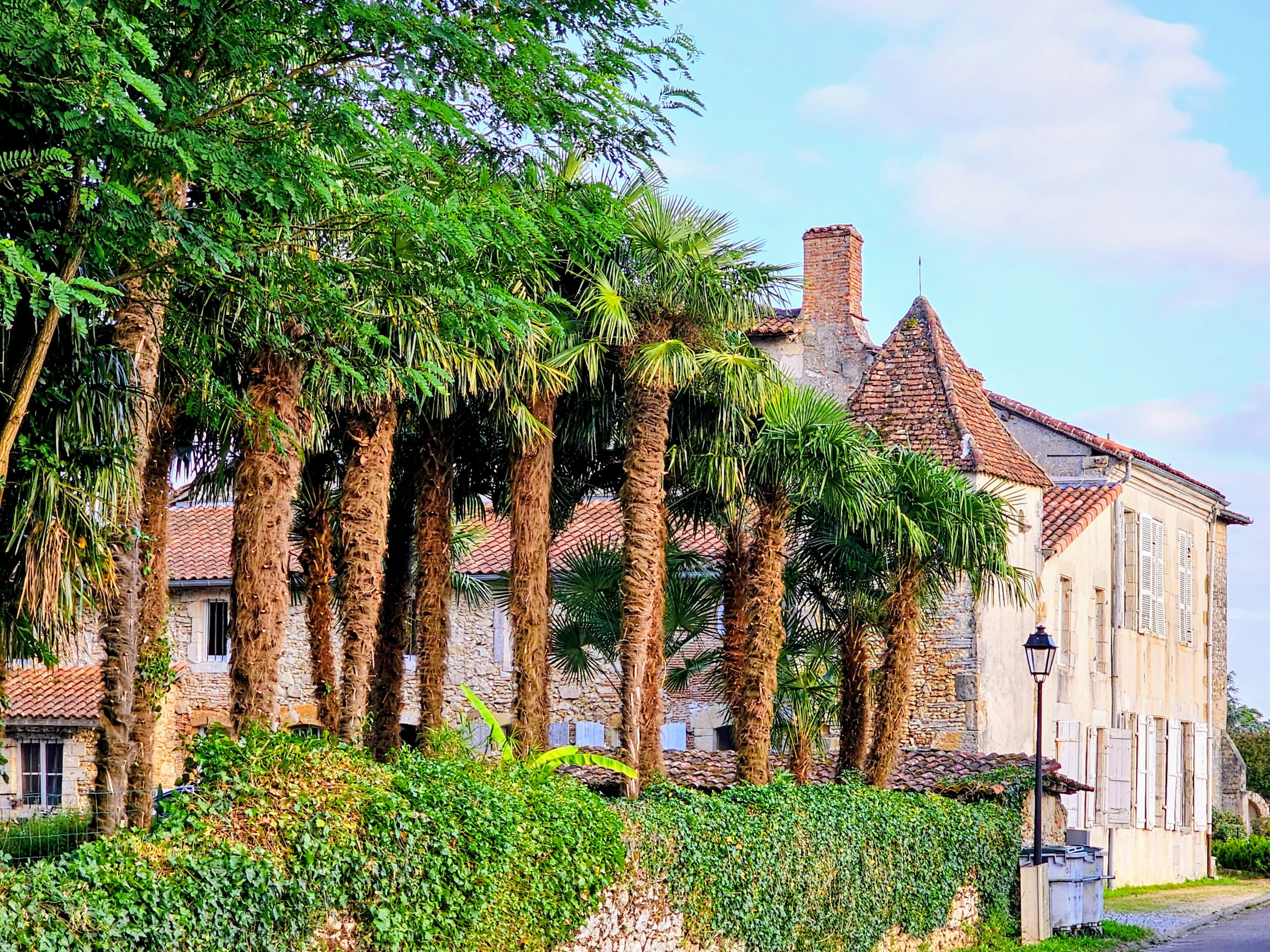 Château Arche d'Aure, Vicq-d'Auribat - photo 18