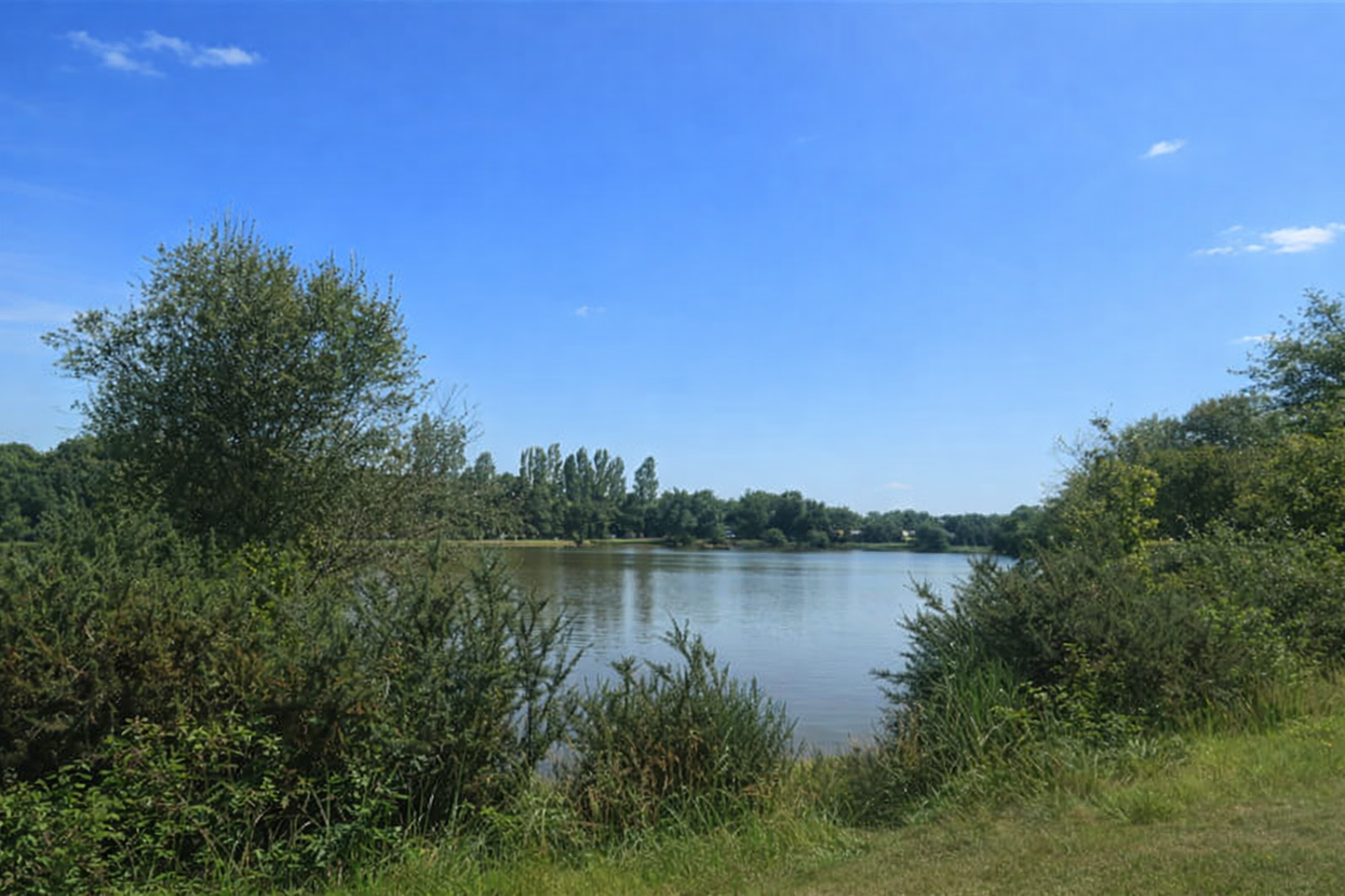 Etang d'Enjouran (Tessonnière)
