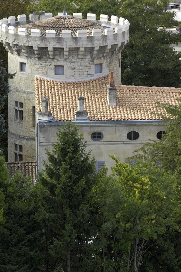 Niort et sa Coulée Verte, Niort - photo 5