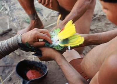 Conférence « L’oiseau bariolé : enquête en forêt Amazonienne »