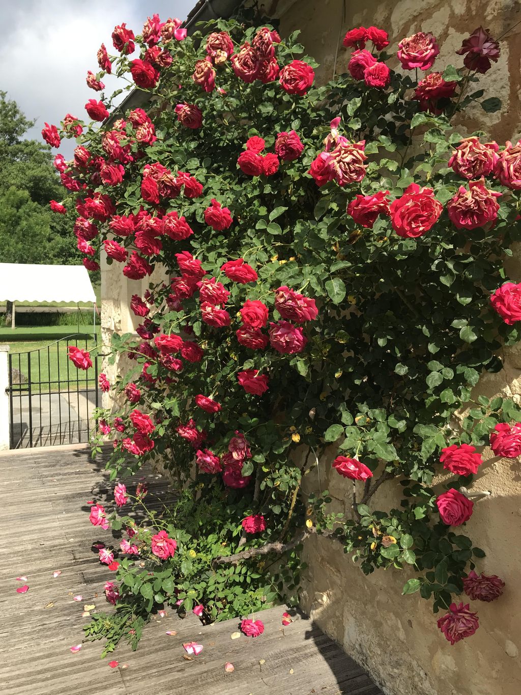 Le gîte communal de Queyssac, Queyssac - photo 3