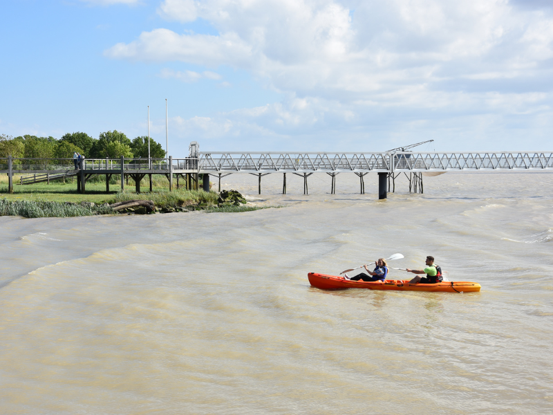 Sortie kayak à Terres d'Oiseaux, Braud-et-Saint-Louis - photo 4