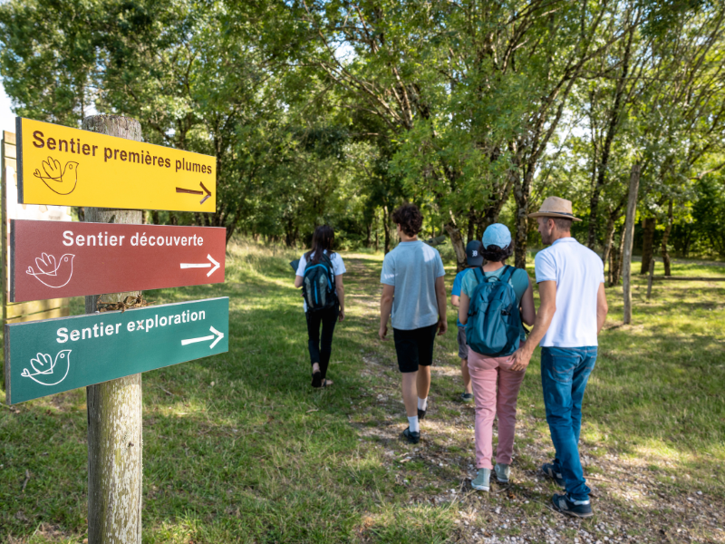Samedi ornitho à Terres d'Oiseaux, Braud-et-Saint-Louis - photo 10