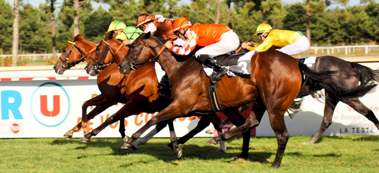 Visite du centre d’entraînement et coulisses de l’hippodrome