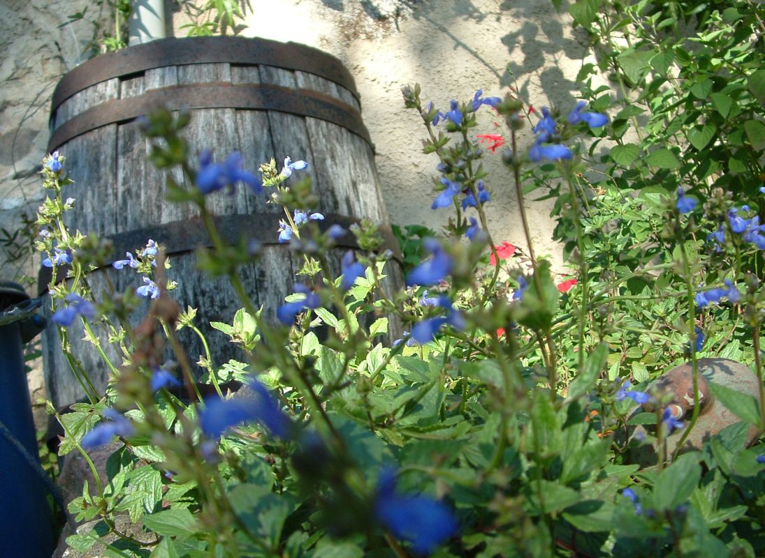 Camping à la ferme de la Noyeraie, Saint-Hilaire-les-Places - photo 4