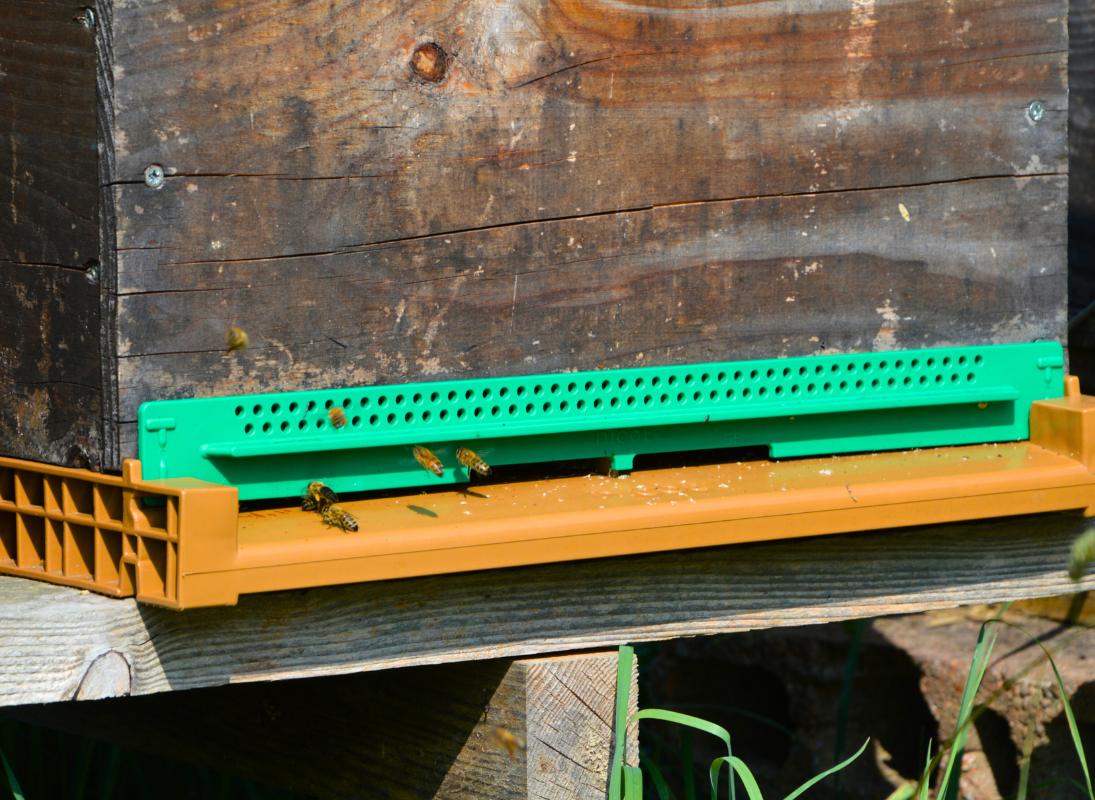 Miellerie Paysages de Miels - photo 4