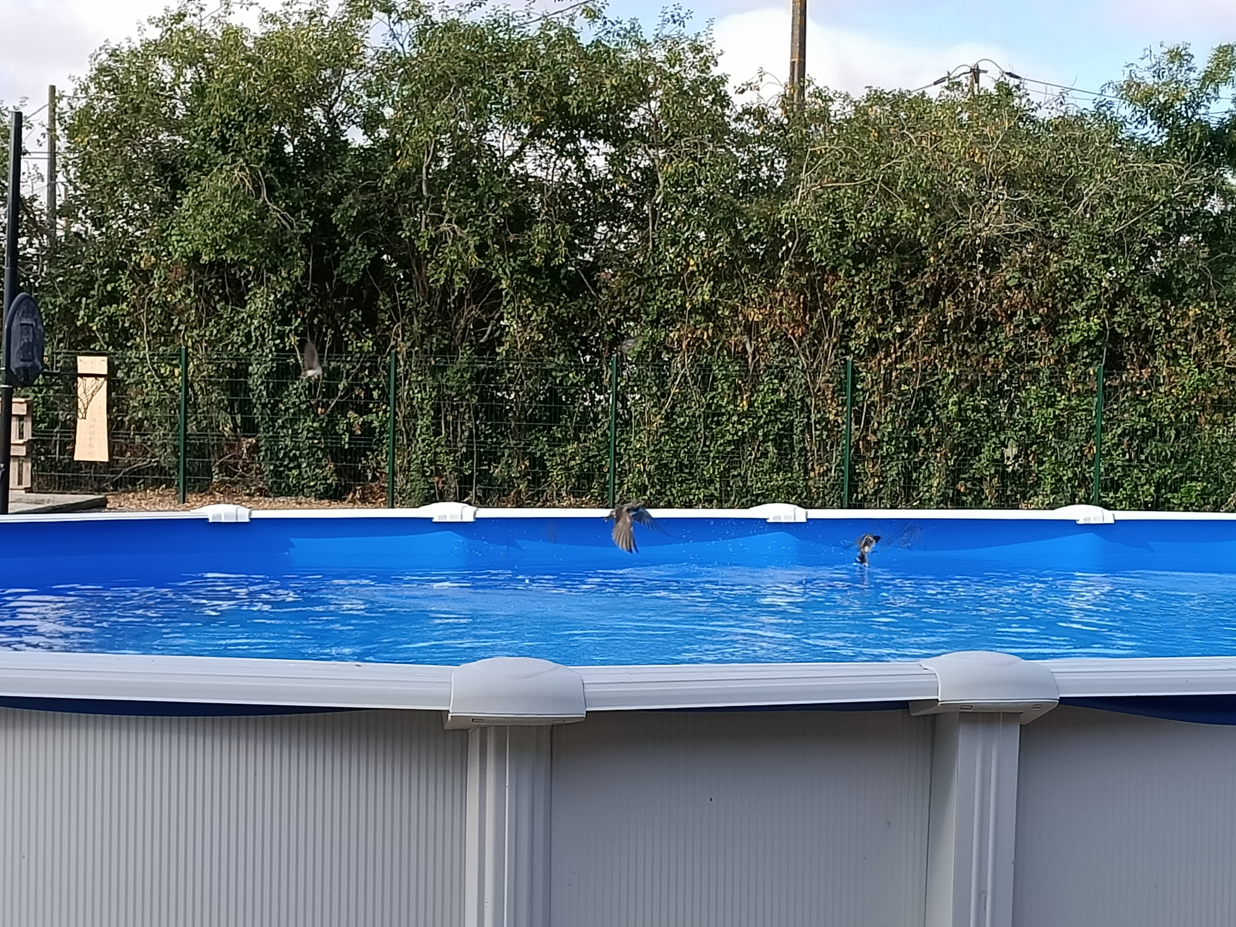 Le Hangar de Papi, Plaine-d'Argenson - photo 16