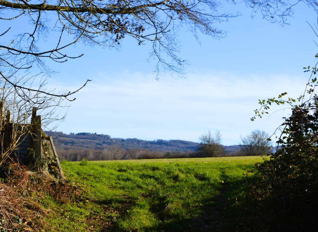 Chemin du Mas Nadaud, Pageas - photo 10