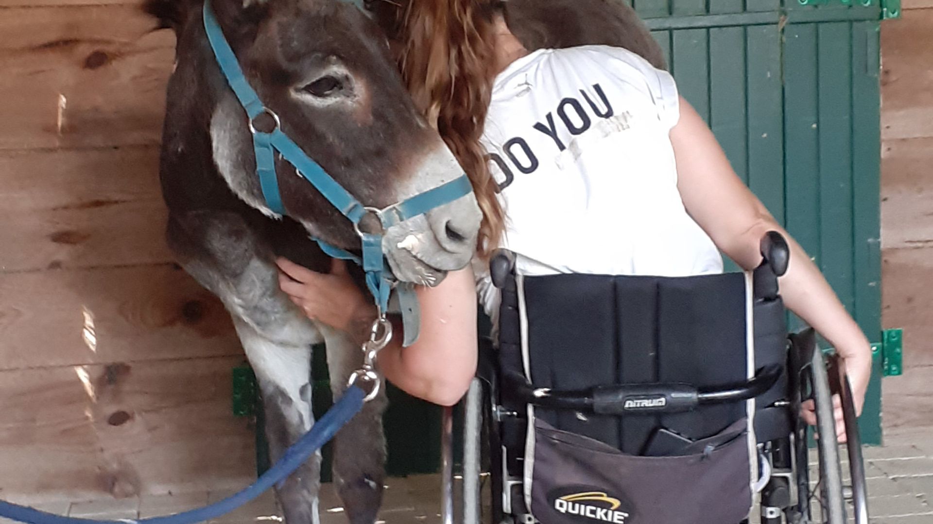 Association les petits ânes Vergt, Saint-Amand-de-Vergt - photo 2