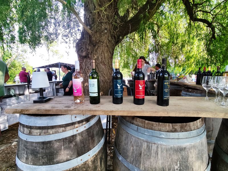 Soirée mascaret, Libourne - photo 9